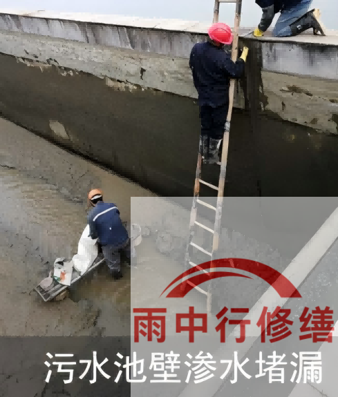 龙岩2026年防水龙头半月两次涨价，行业格局重塑信号